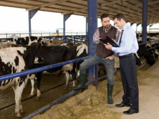 istockphoto-497118976-612×612-1